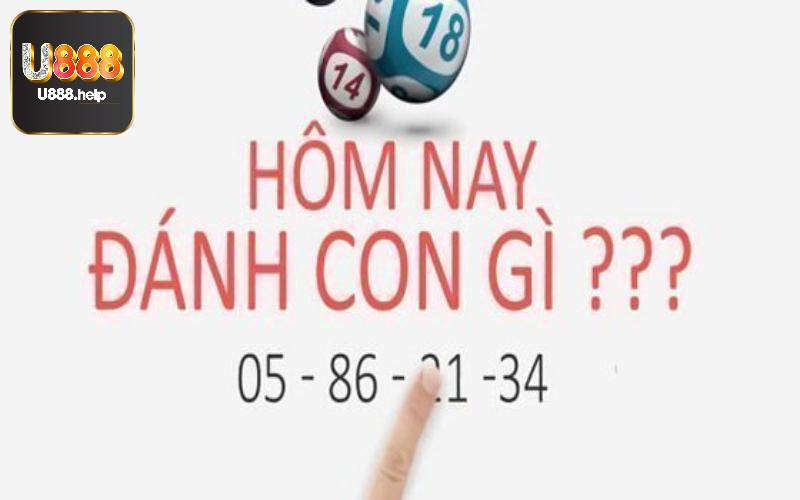 Hôm nay đánh con gì?